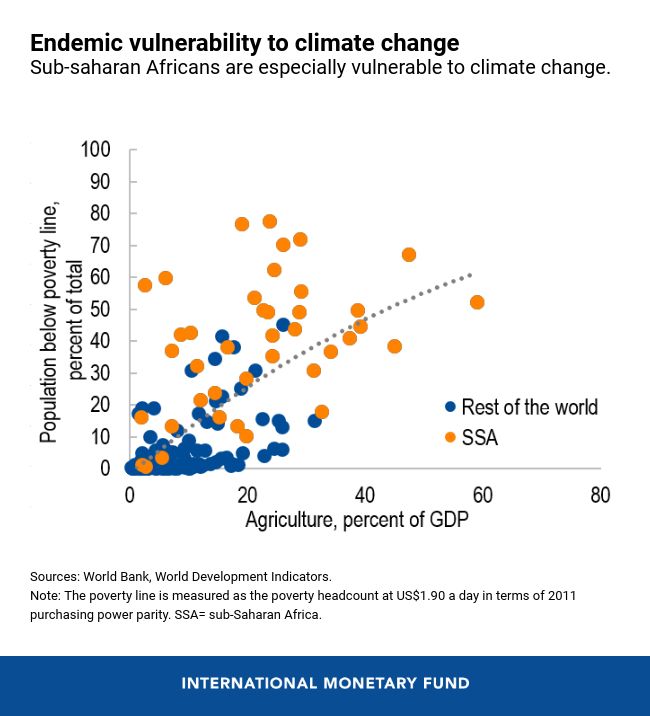 Safeguarding Africa’s Food Security in the Age of COVID-19