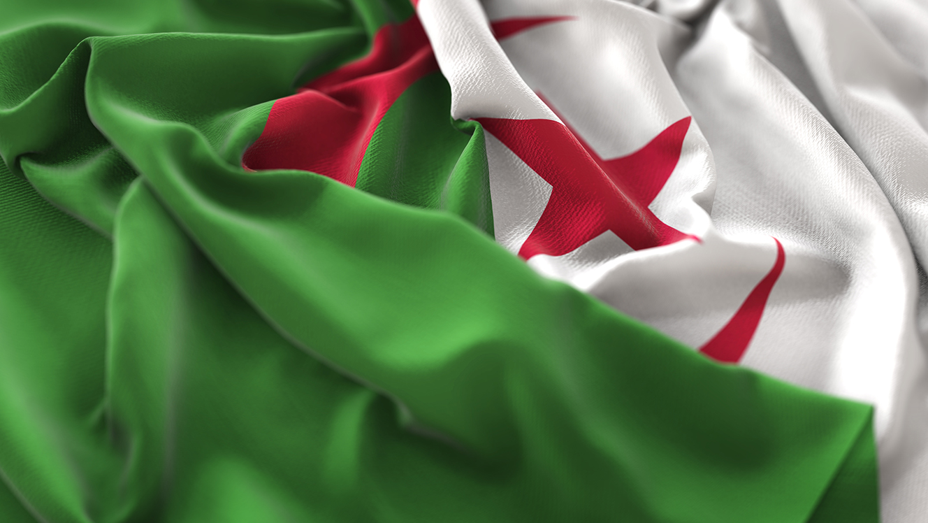 Algeria: Spillover risks after split in domestic elite and protests