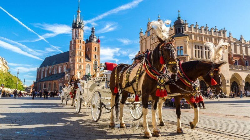 Polish retail sales rebound is starting to slow