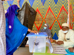 Africa in the news: Uganda oil pipeline, (fewer) locusts in East Africa, and political updates