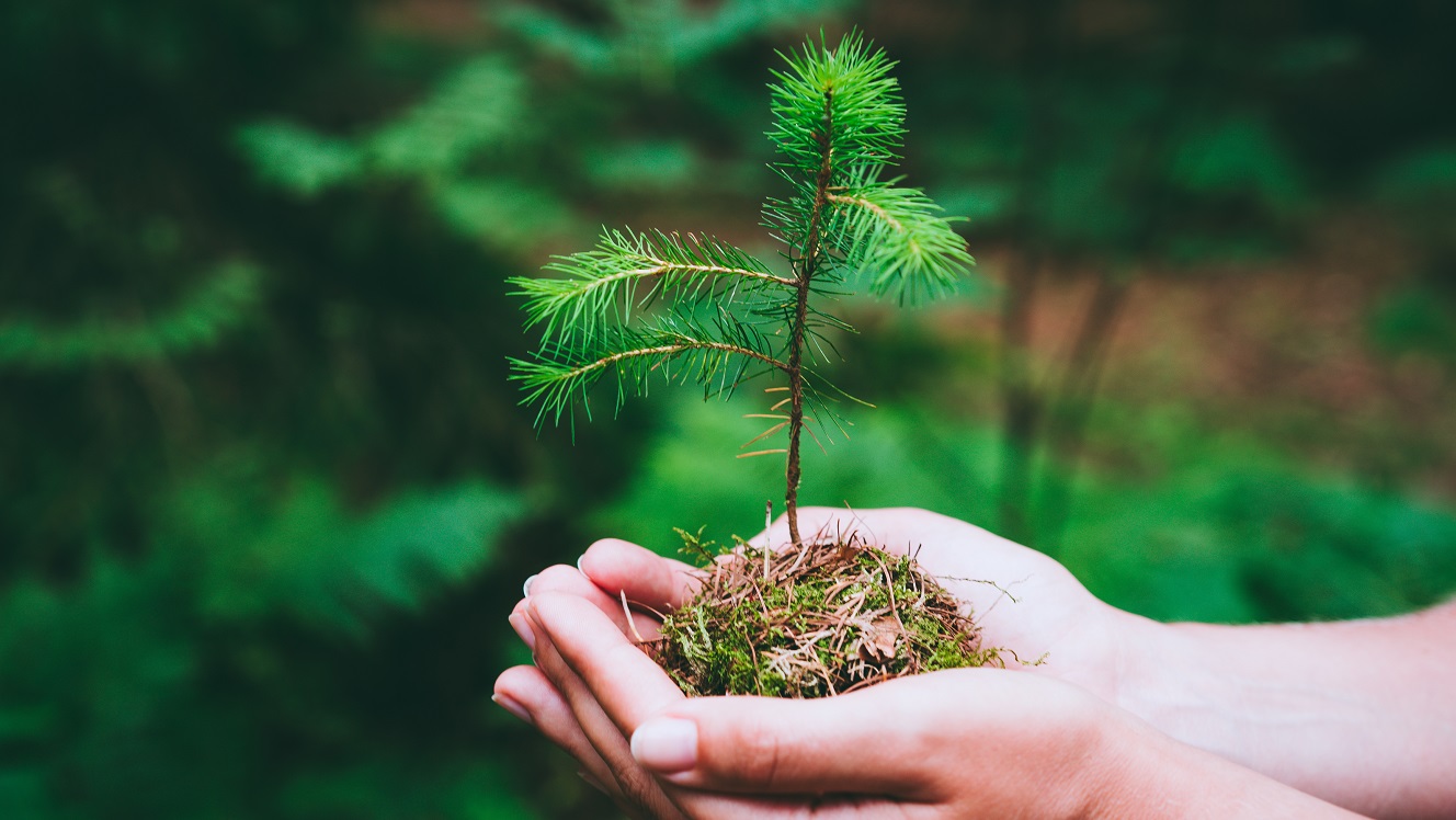 Climate to become the default ethical investment choice, usurping ESG