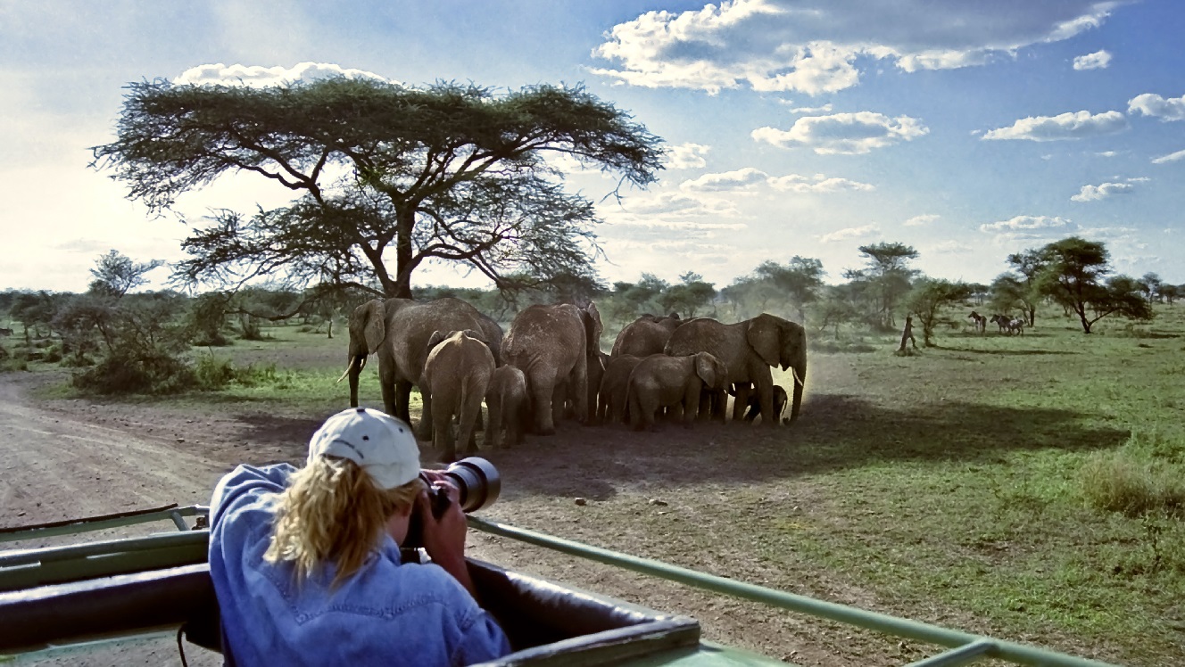 Kenya tourism to take a hit after the US advises against travel