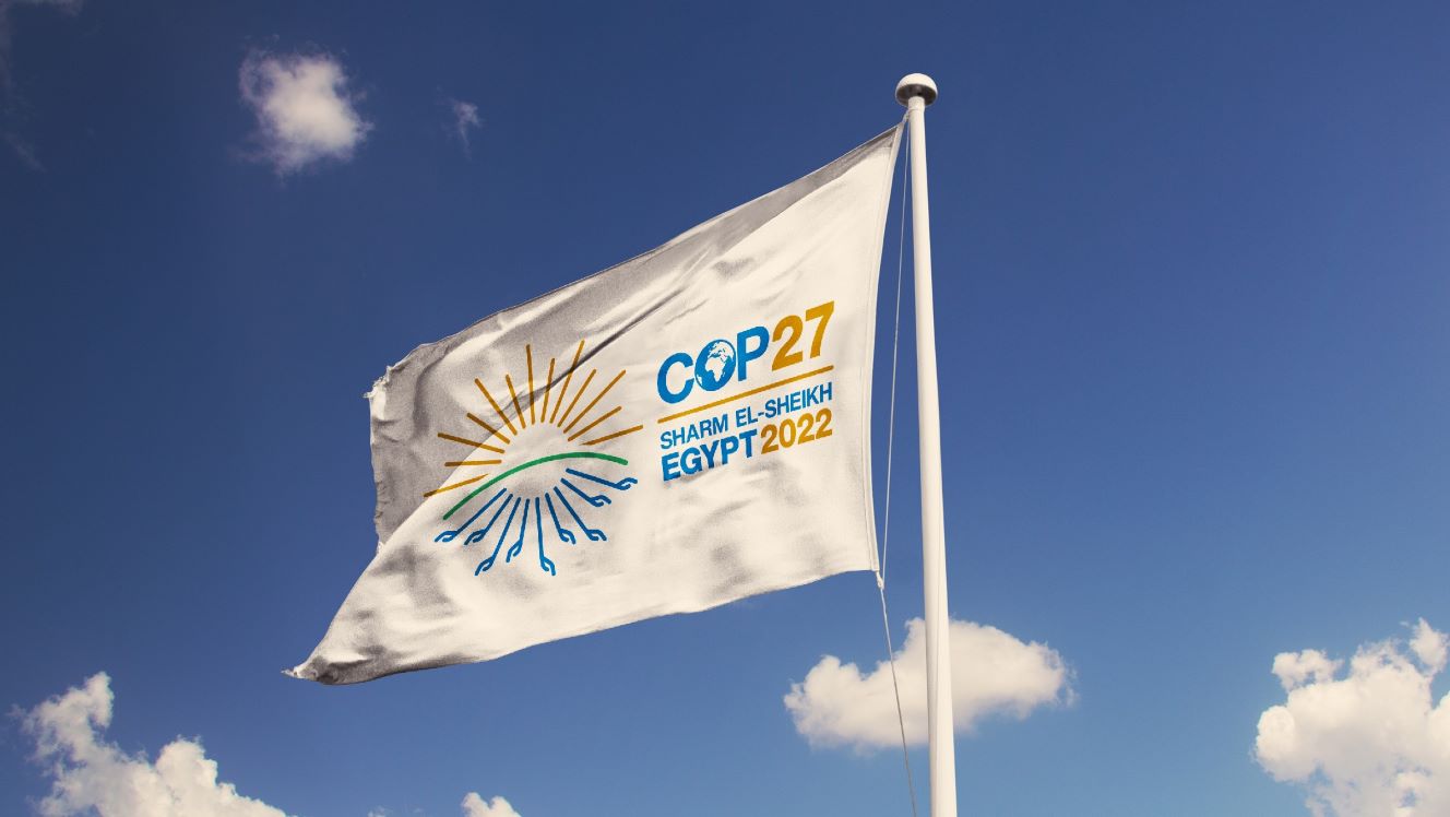 COP27: Climate change culprits and victims – the E and S in emerging markets ESG