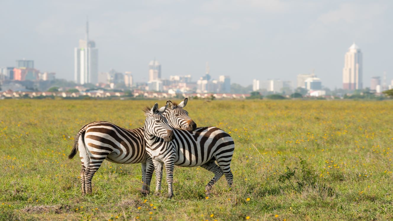 Kenya banks: Four ways M&A could transform the sector