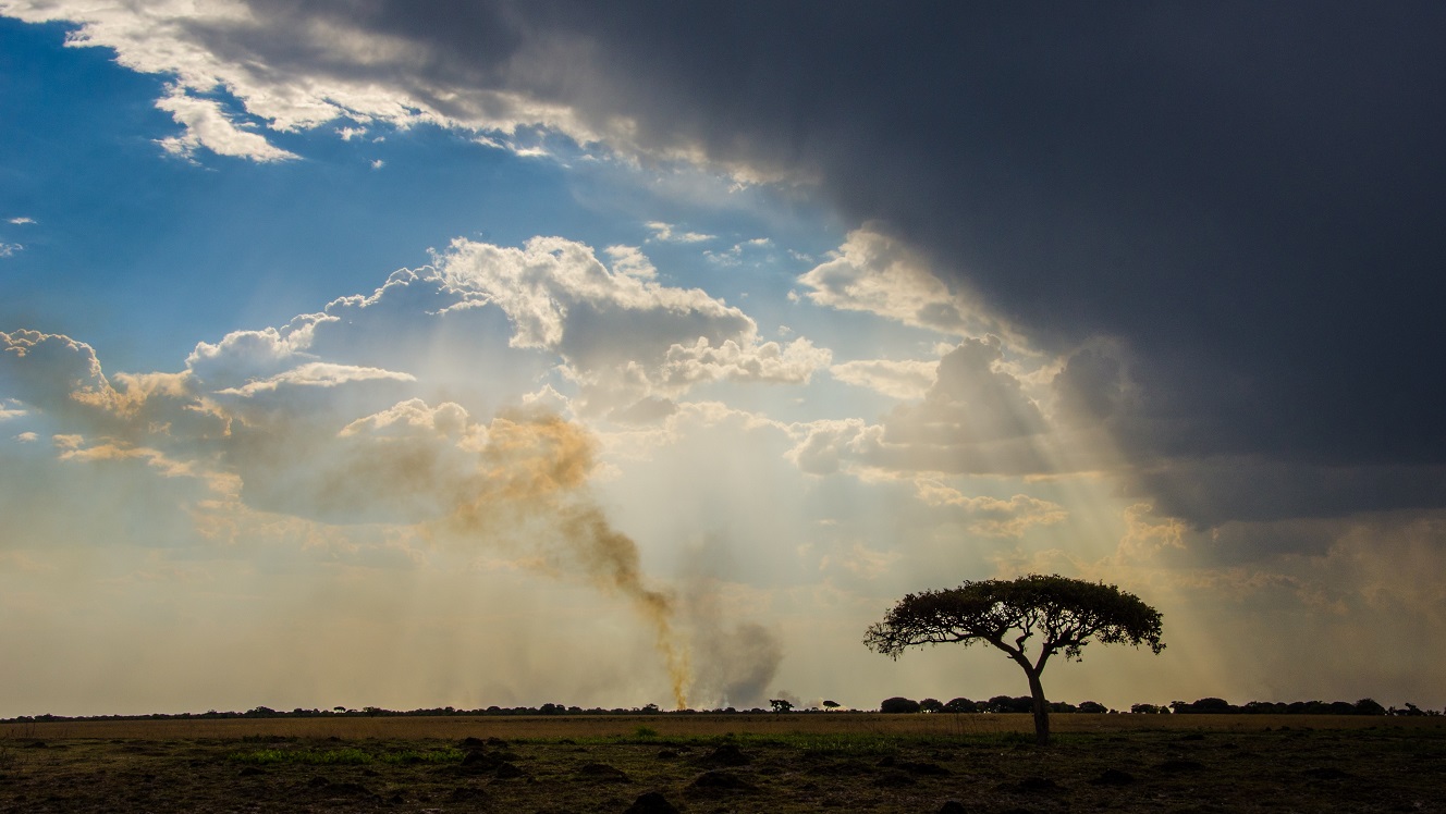 Zambia: Upgrade to Buy as DSA gives positive signal for bonds