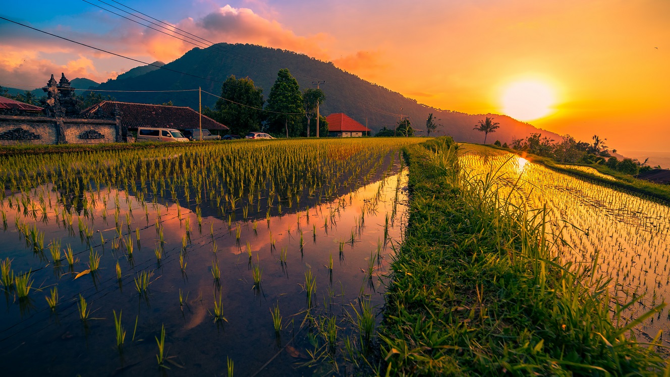 Indonesia: A liquid alternative for Frontier equity investors
