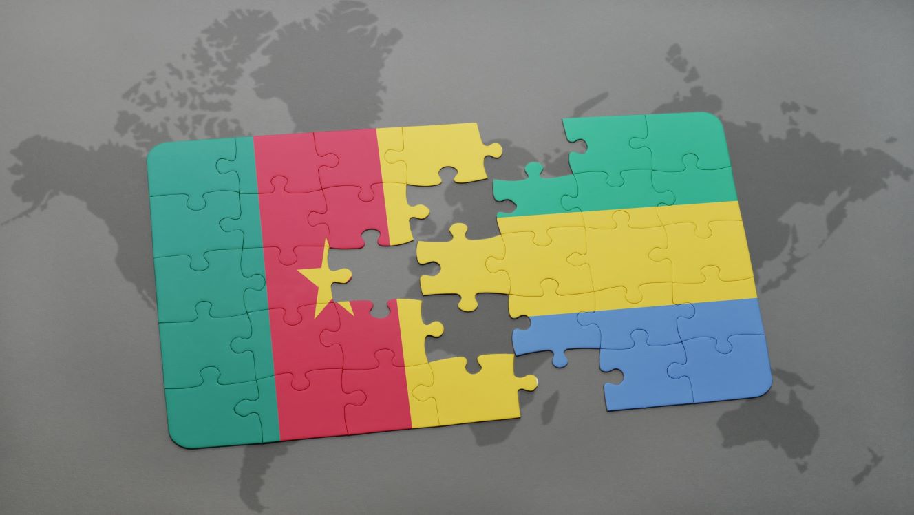 Cameroon/Gabon: Notes from the virtual IMF Spring Meetings