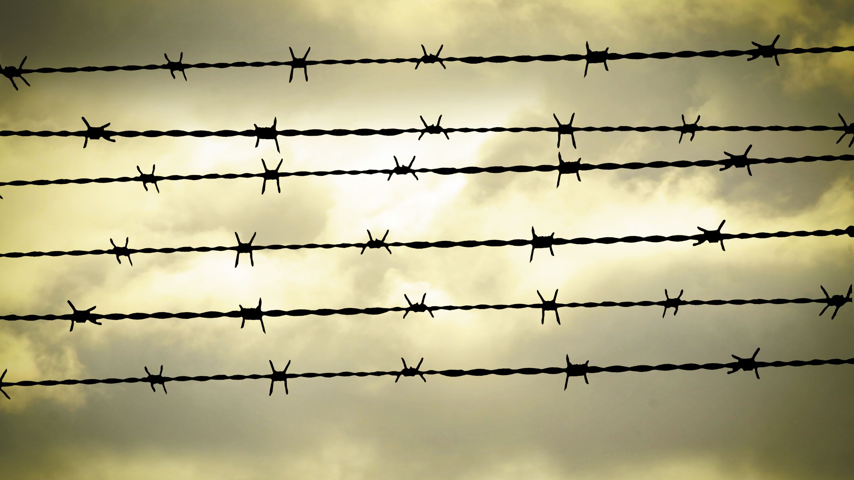 China ‘genocide’ and the risks of investors’ culpability for human rights abuses