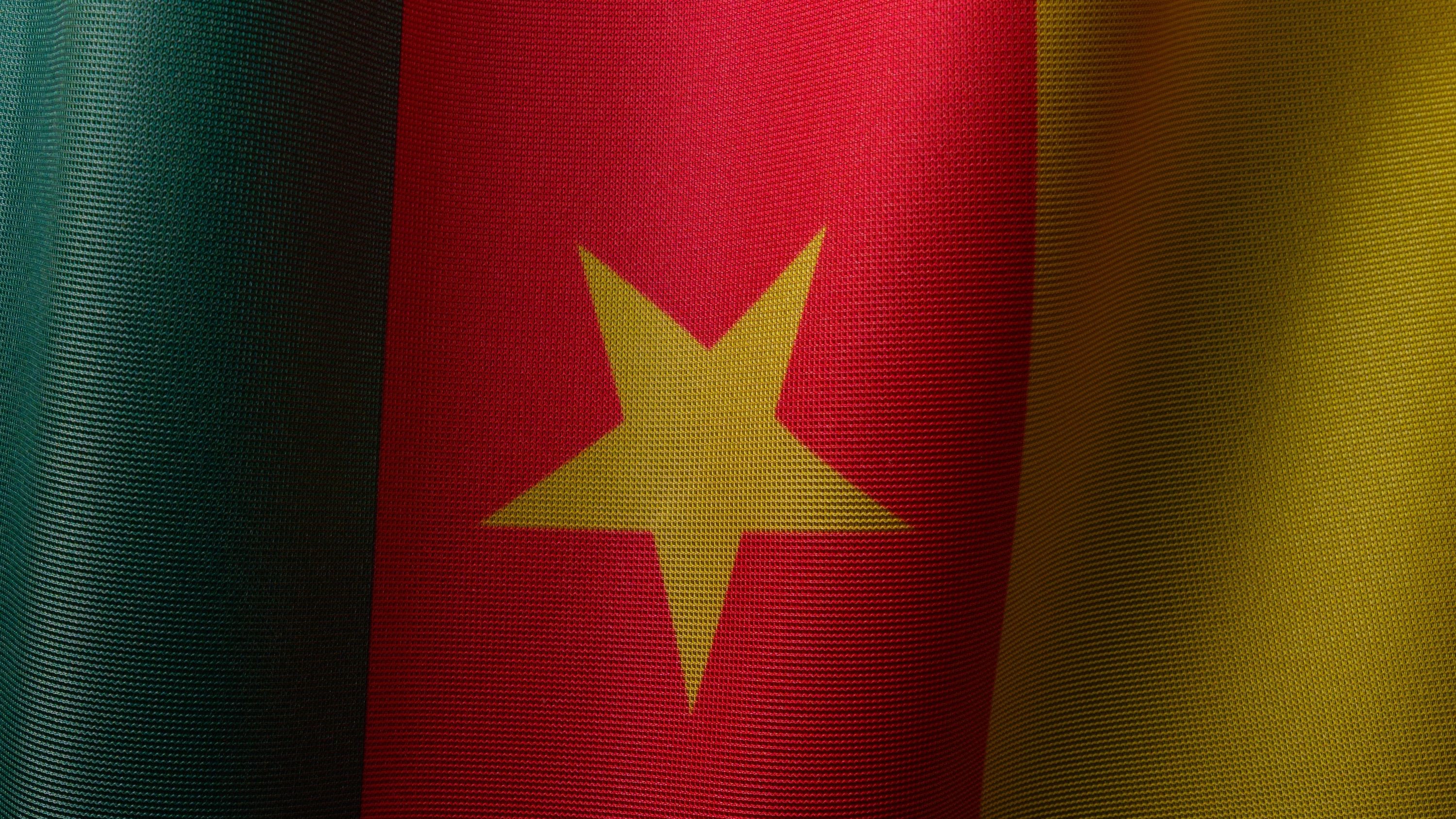 tellimer-cameroon-imf-completes-fourth-review-of-programme