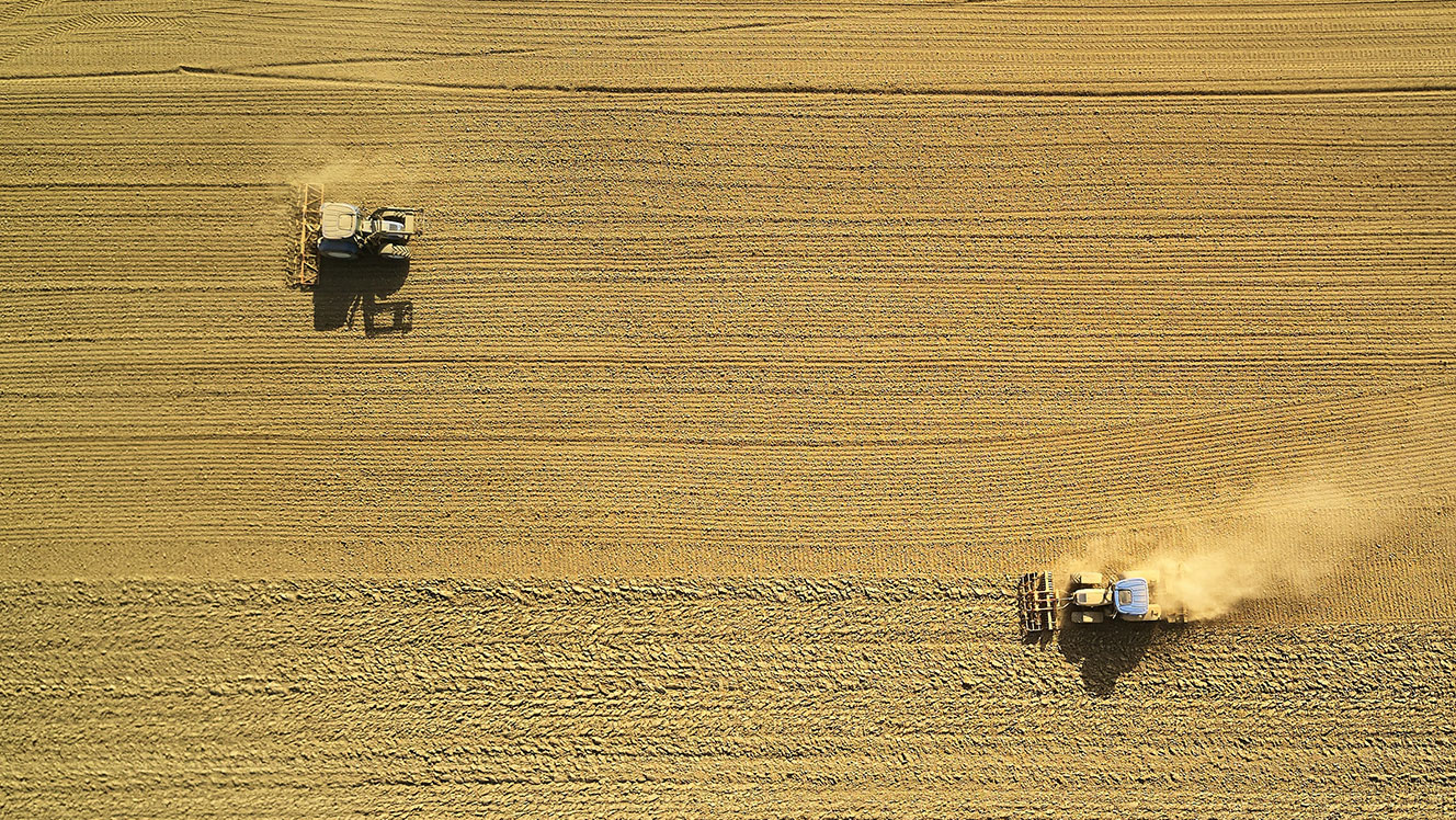 Commodity food price spike: The high-risk countries