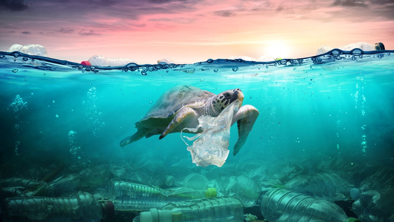 World Ocean Day and the ESG plastic waste offenders in emerging markets