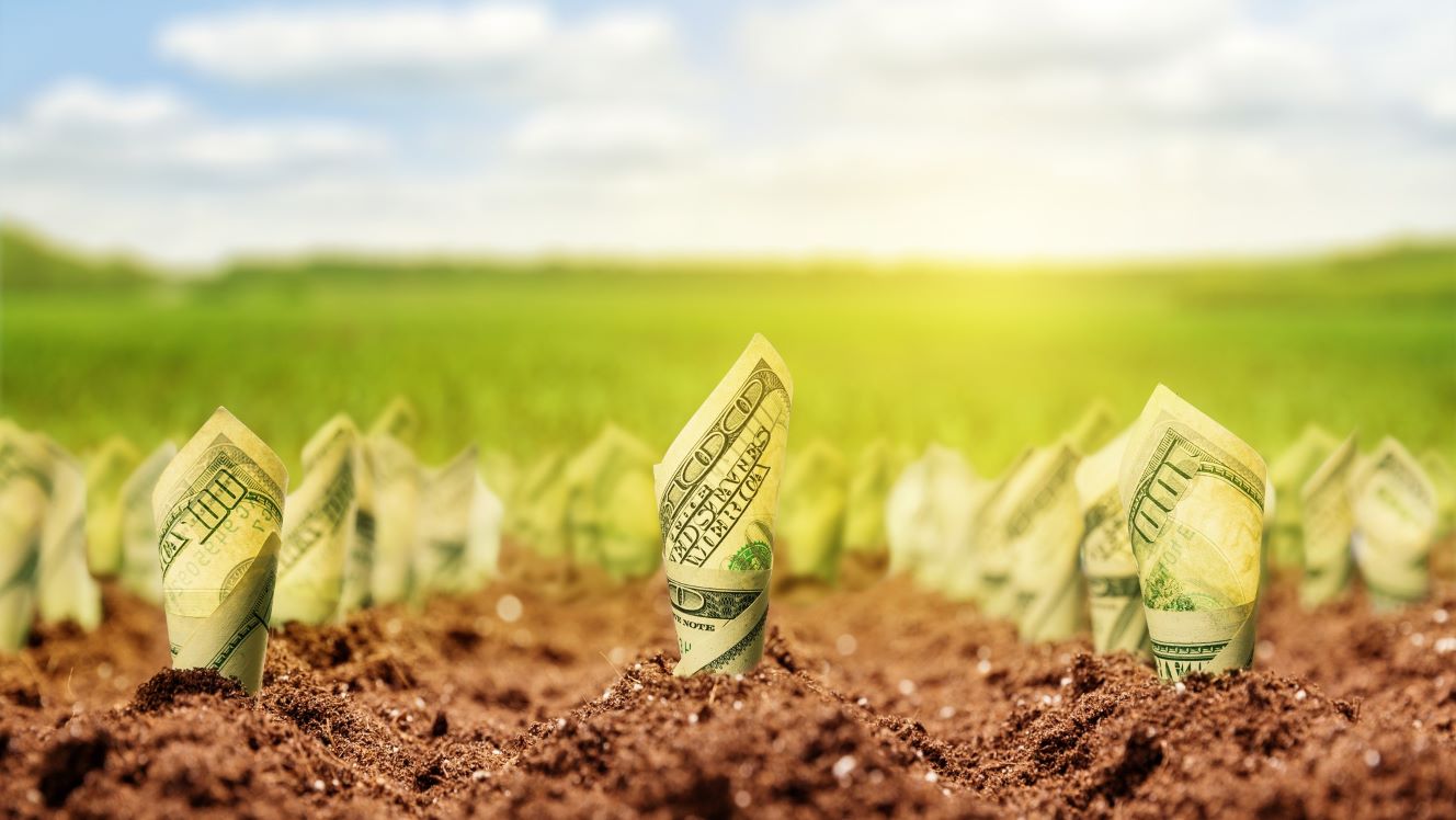 Inflationbusters! The EM stocks with positive real dividend yields