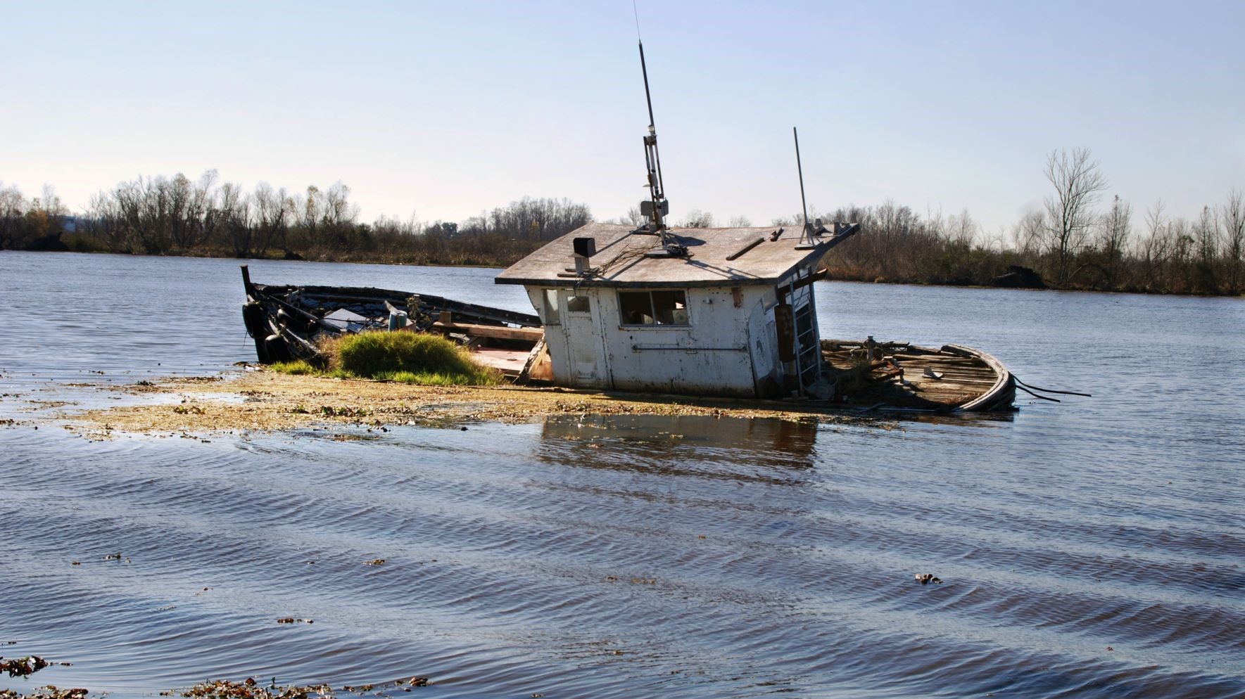 Hurricane Ida may be a boon for Asian shrimp producers