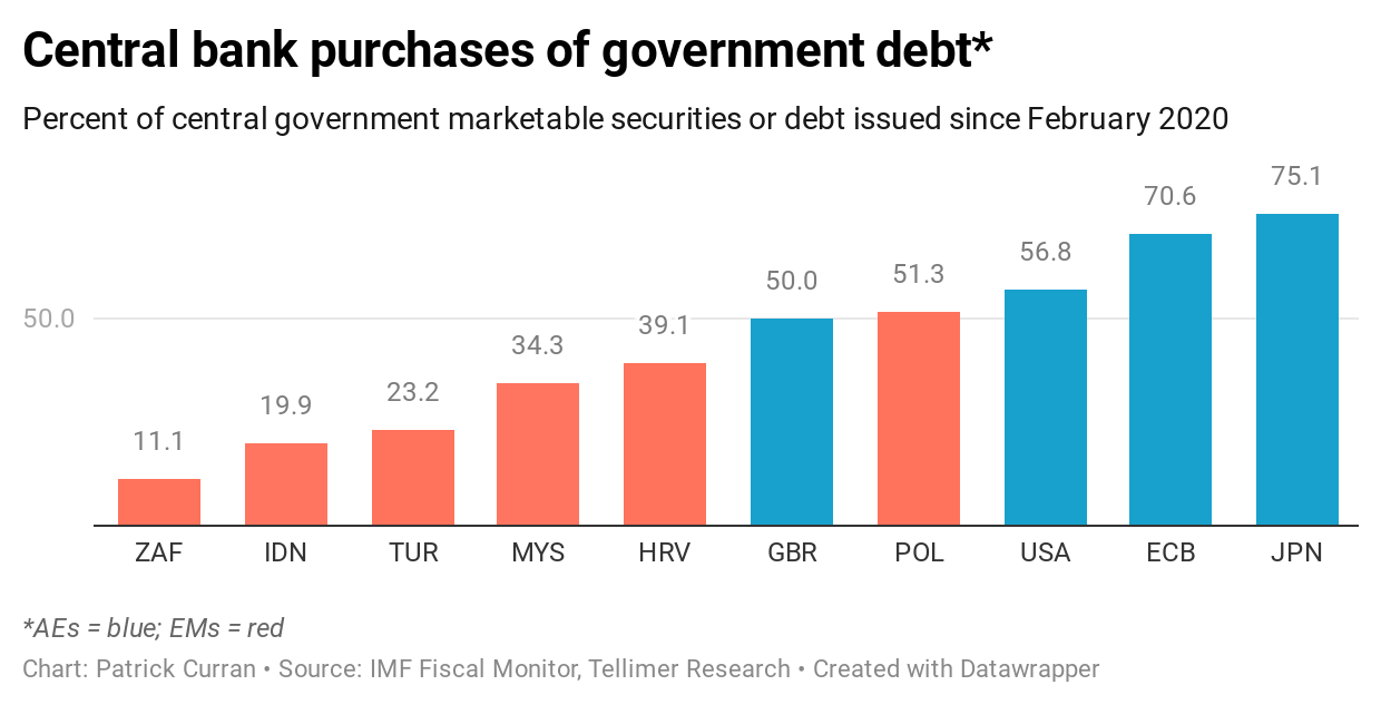 Central bank purchases of government debt