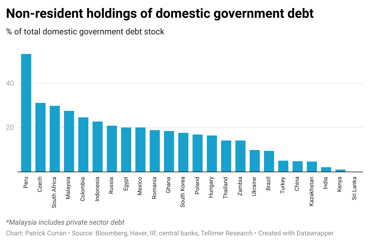 Non-resident holdings of domestic government debt
